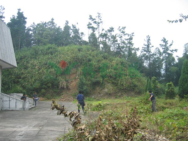 ng电子游戏·(中国区)官方网站