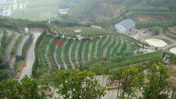 ng电子游戏·(中国区)官方网站