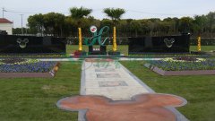 上；；；懔啊捌瞻贰