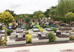 上海唬唬唬；；懔靶腔鹎