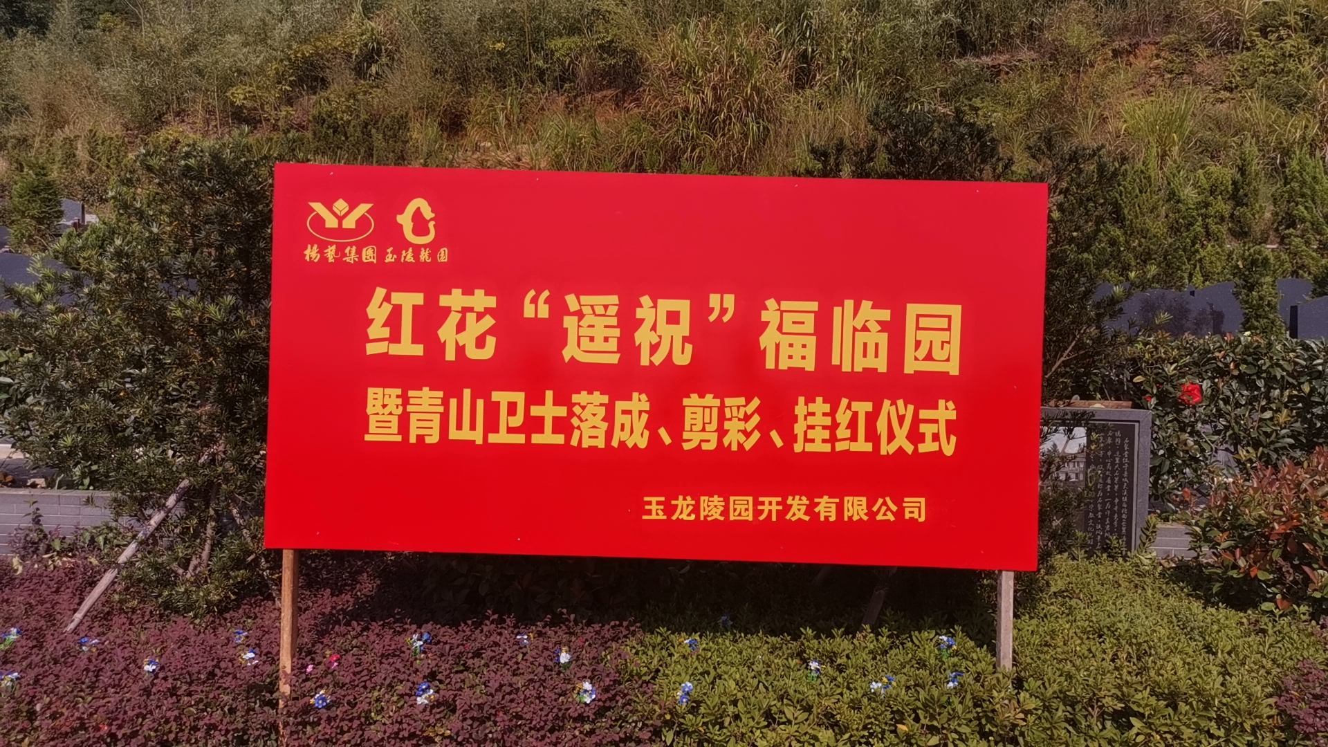 红花传爱意，，，，情满玉龙园！