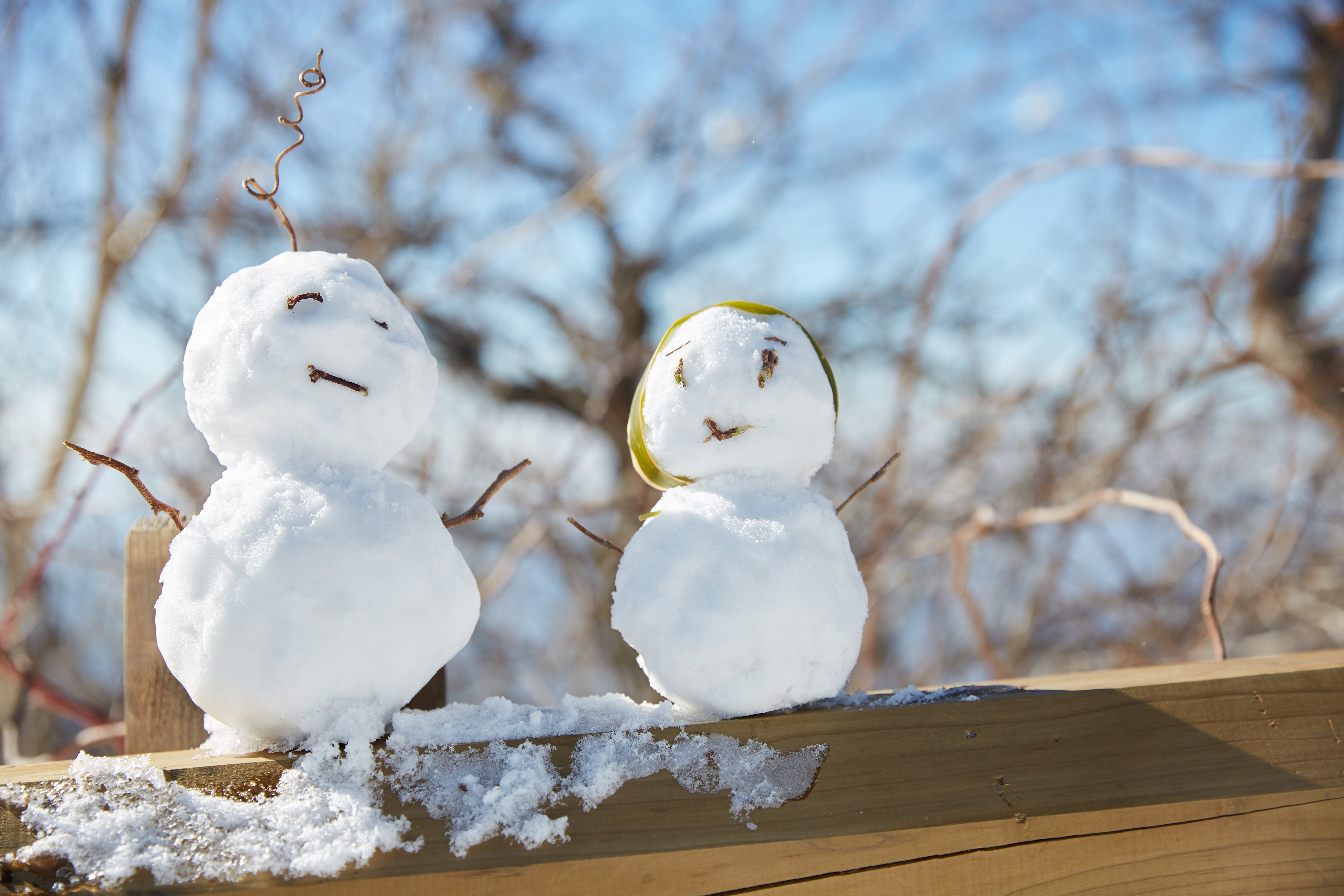 冬至，，，，，暖“杨”相伴 | ng电子游戏人全力配合各墓园冬至落葬