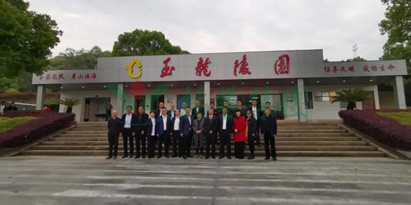 ng电子游戏·(中国区)官方网站