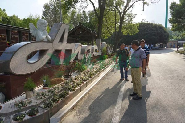 ng电子游戏·(中国区)官方网站