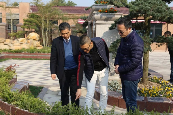 ng电子游戏·(中国区)官方网站