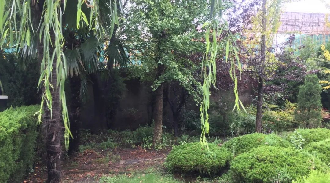 ng电子游戏·(中国区)官方网站