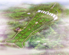 ng电子游戏集团：公墓投资的践行者，，，，，，，谋划治理的行家