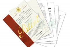 国际认可 | ng电子游戏喜获一项美国发明专利授权