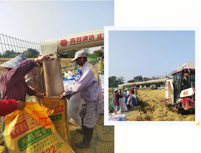 ng电子游戏·(中国区)官方网站