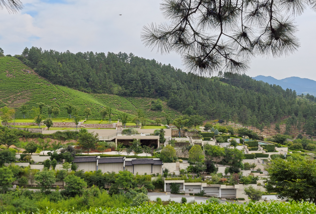 ng电子游戏·(中国区)官方网站