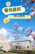 春分之韵|ng电子游戏邀您共享春光
