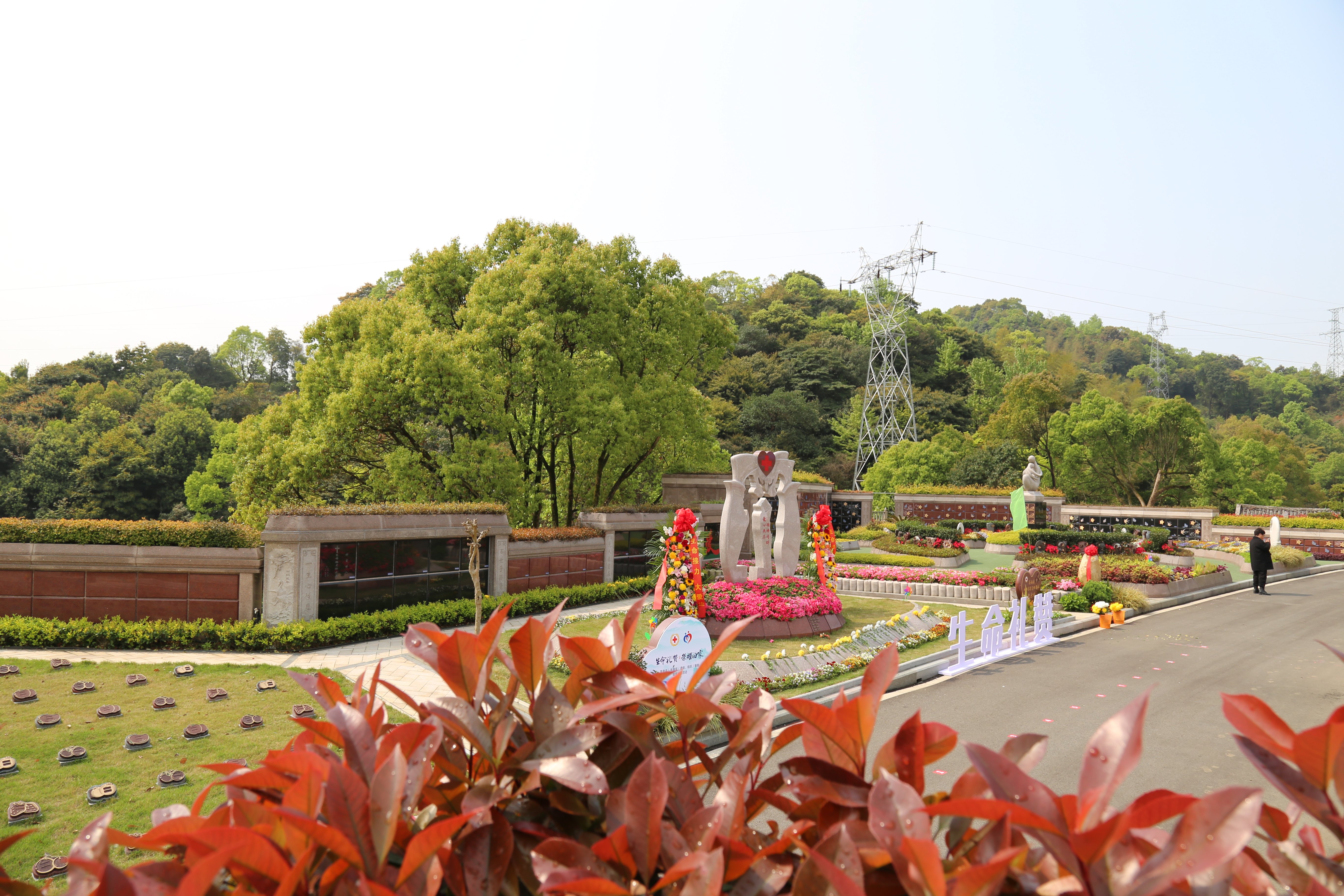 ng电子游戏·(中国区)官方网站