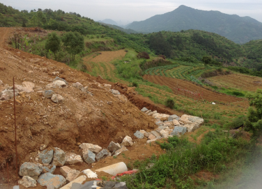 ng电子游戏·(中国区)官方网站