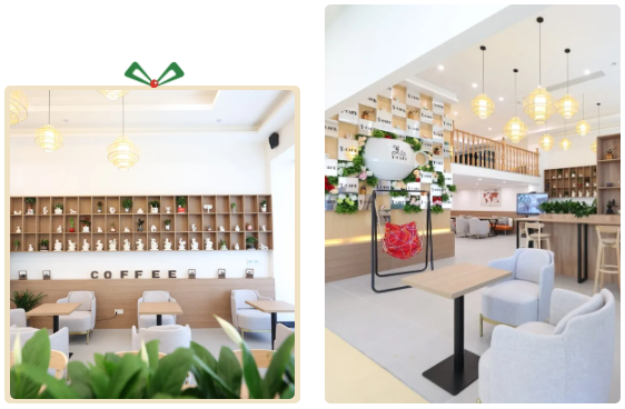 ng电子游戏·(中国区)官方网站