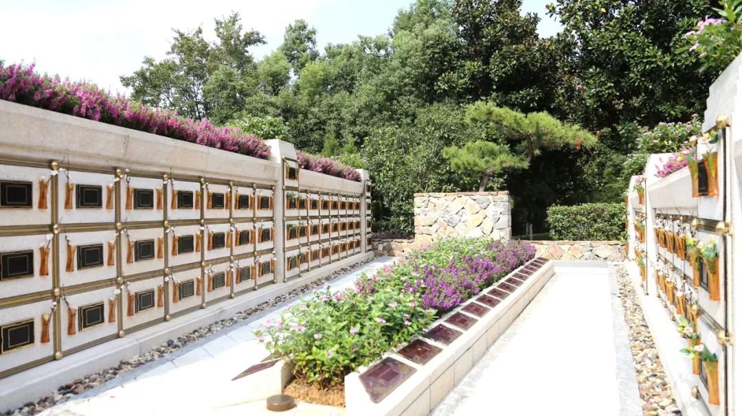 在合肥大蜀山文化陵园，，，，与生命温柔对话