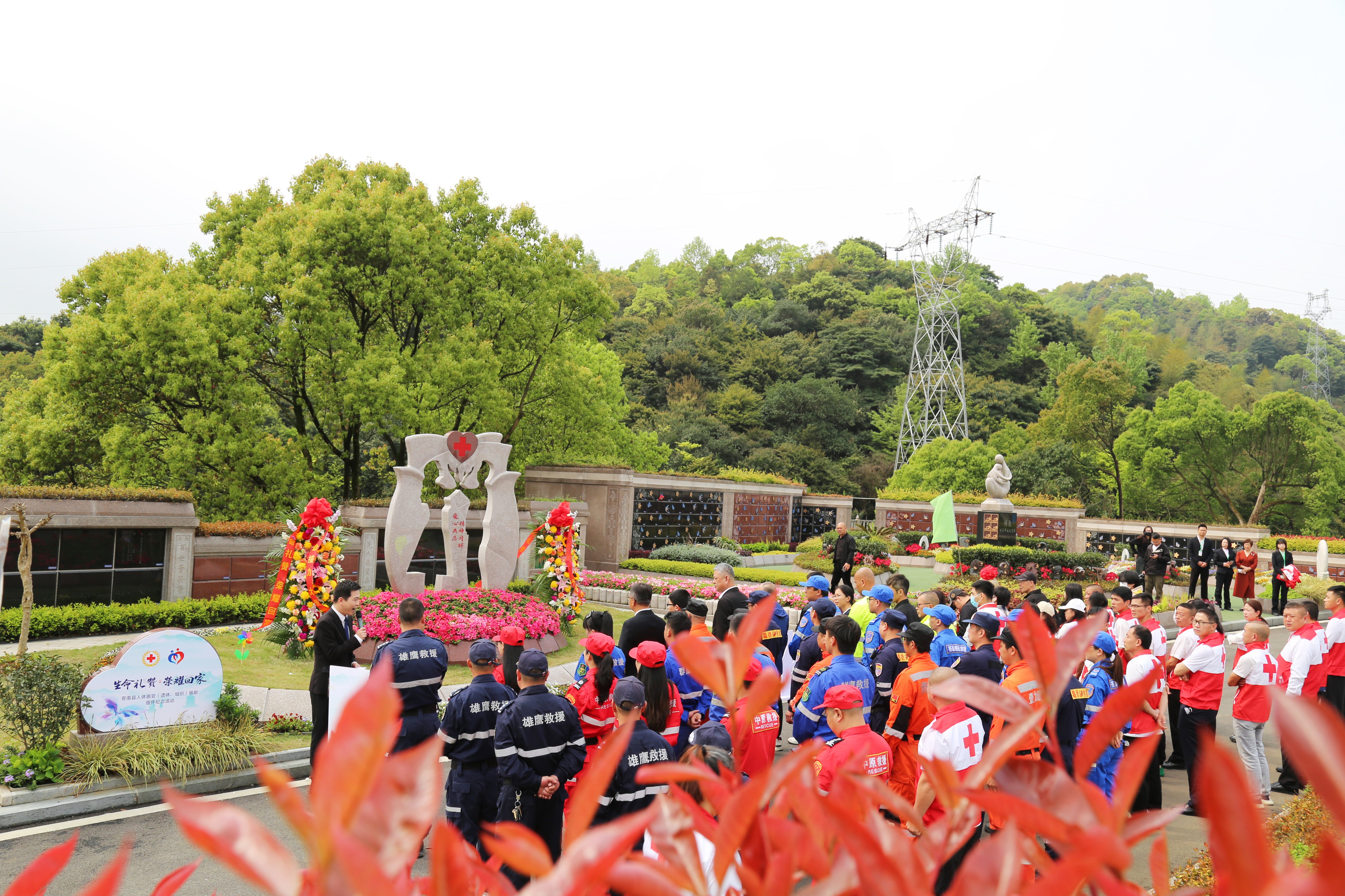 ng电子游戏·(中国区)官方网站