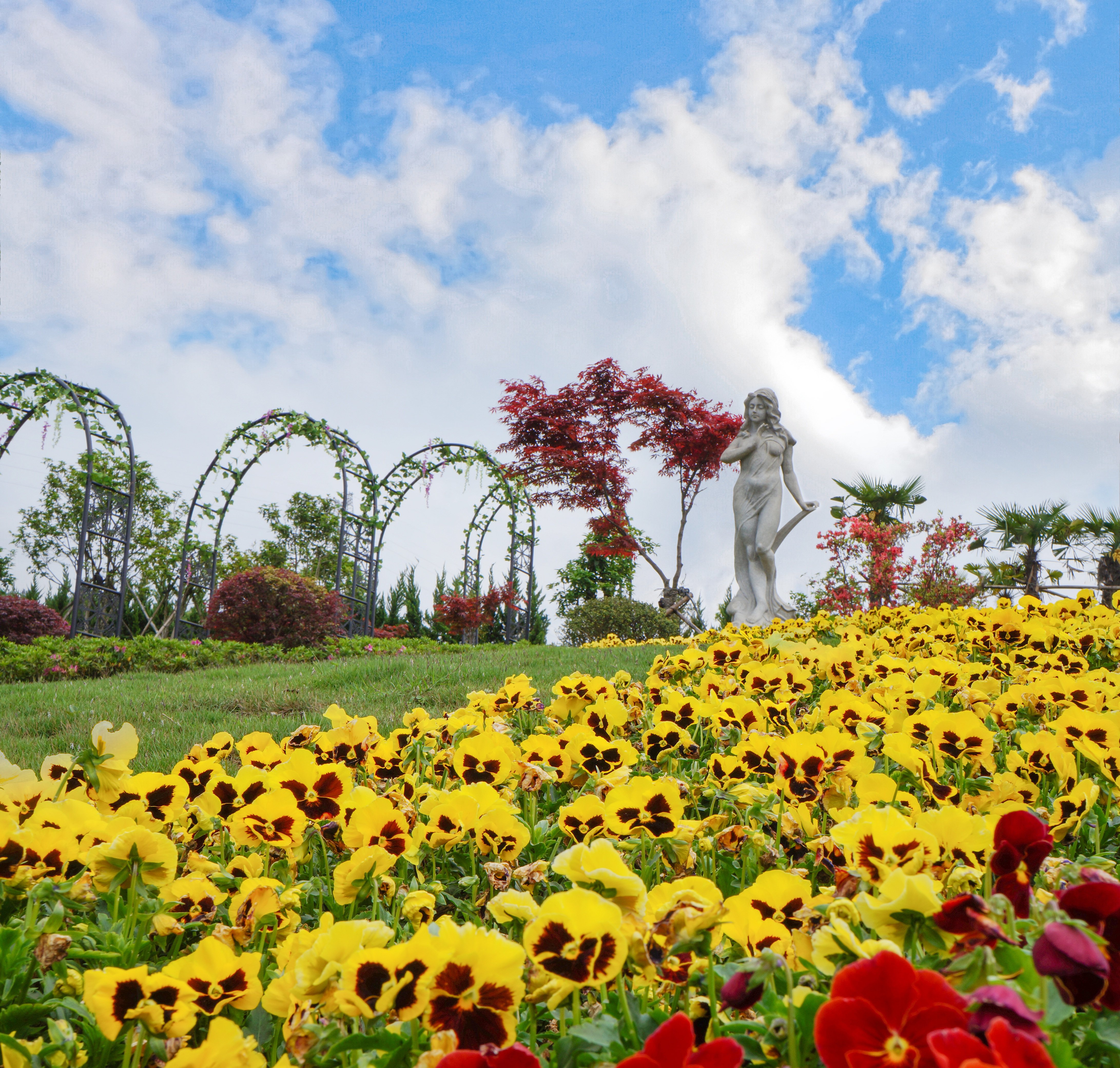 ng电子游戏·(中国区)官方网站