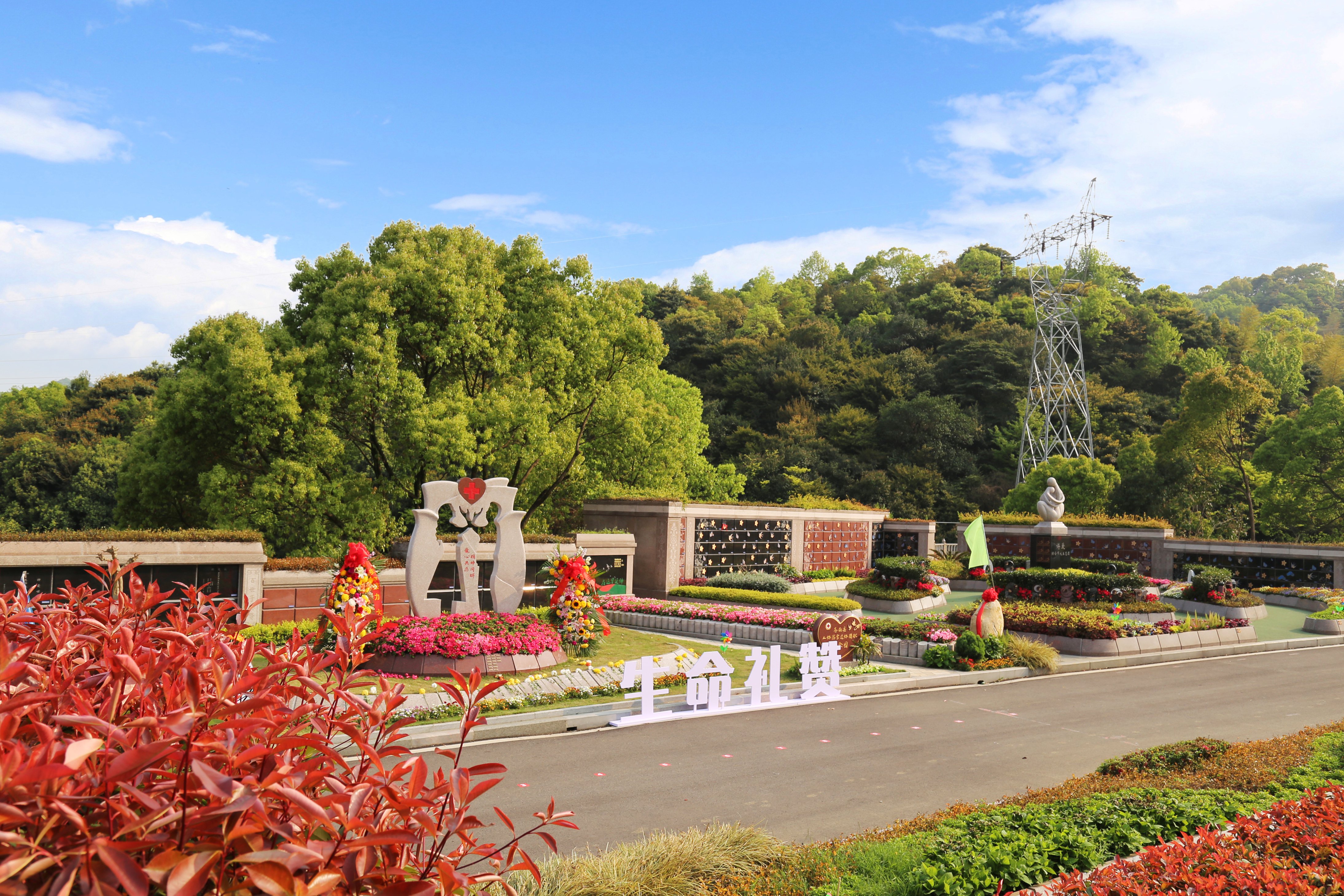 ng电子游戏·(中国区)官方网站